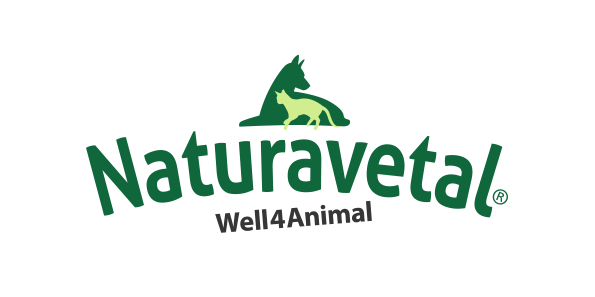 logo (6)
